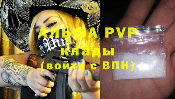 стафф Богородицк