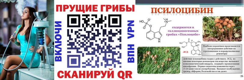 Галлюциногенные грибы мицелий  hydra маркетплейс  Сковородино 